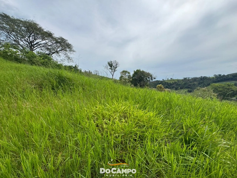 null: 17ª foto da galeria de imagens do imóvel