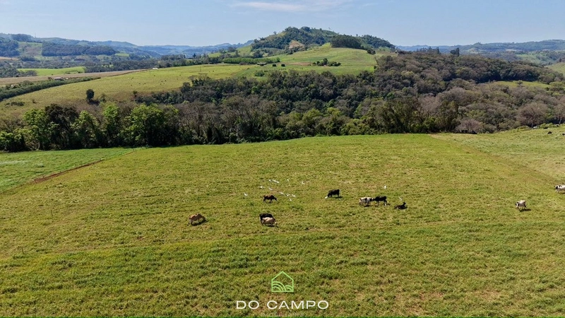 null: 53ª foto da galeria de imagens do imóvel