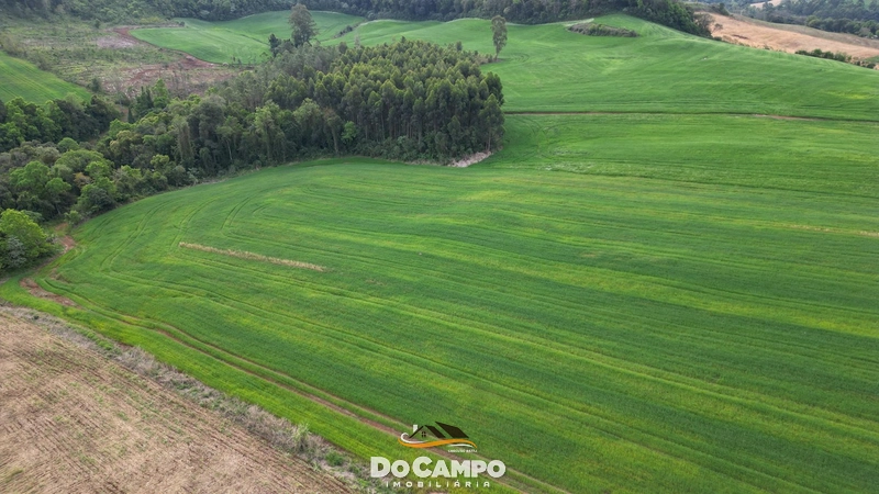 null: 7ª foto da galeria de imagens do imóvel