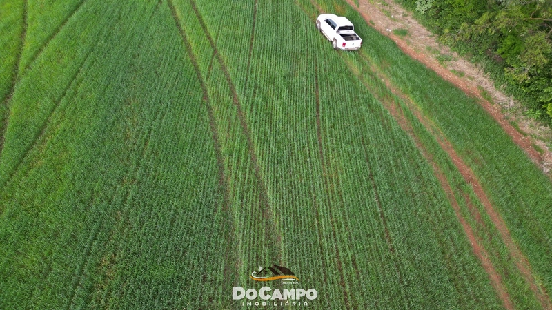 null: 11ª foto da galeria de imagens do imóvel
