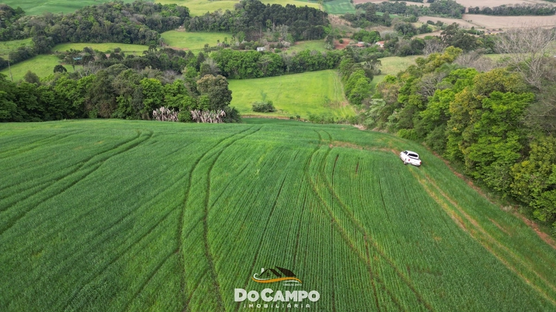 null: 6ª foto da galeria de imagens do imóvel