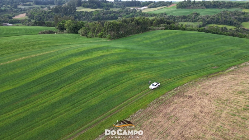 null: 4ª foto da galeria de imagens do imóvel