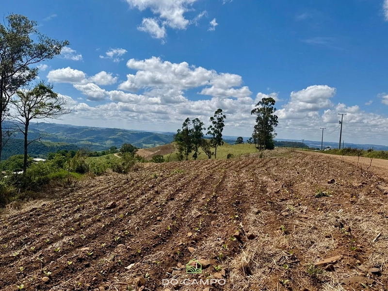 null: 4ª foto da galeria de imagens do imóvel