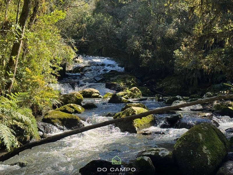 null: 42ª foto da galeria de imagens do imóvel