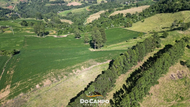 null: 51ª foto da galeria de imagens do imóvel