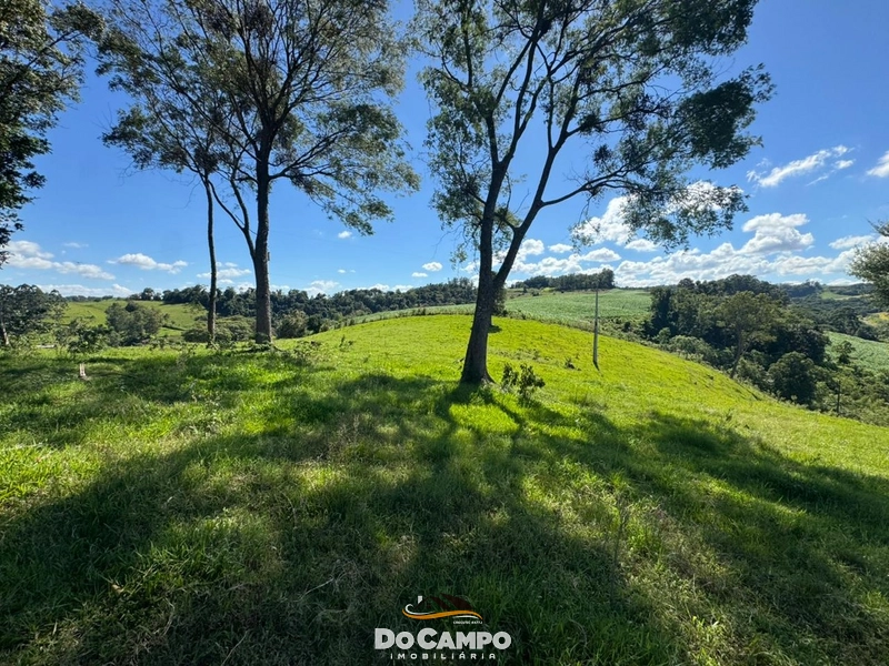 null: 14ª foto da galeria de imagens do imóvel