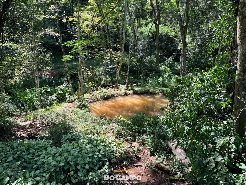 null: 4ª foto da galeria de imagens do imóvel