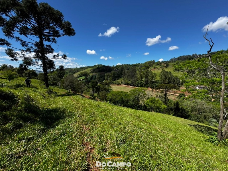 null: 17ª foto da galeria de imagens do imóvel