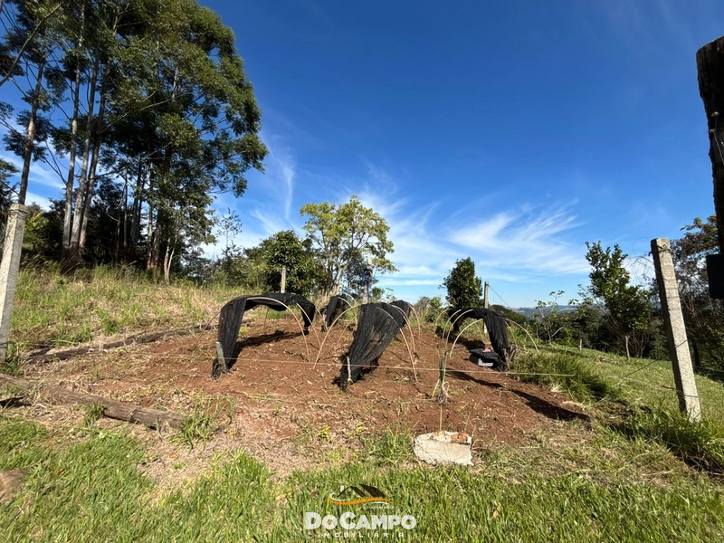 null: 11ª foto da galeria de imagens do imóvel