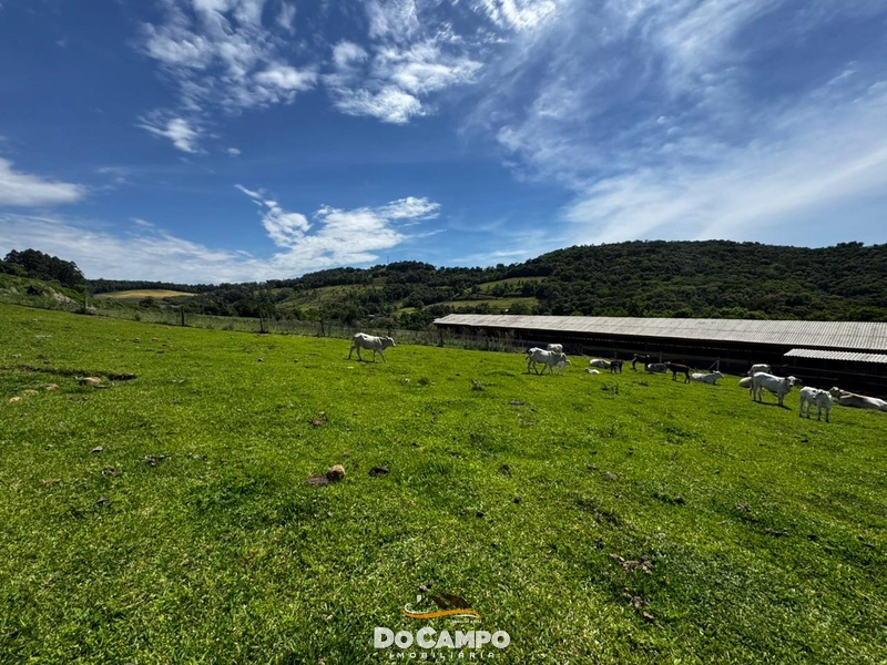 null: 52ª foto da galeria de imagens do imóvel