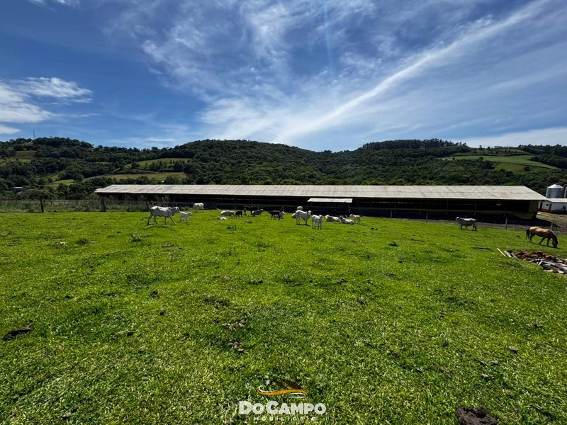 null: 53ª foto da galeria de imagens do imóvel