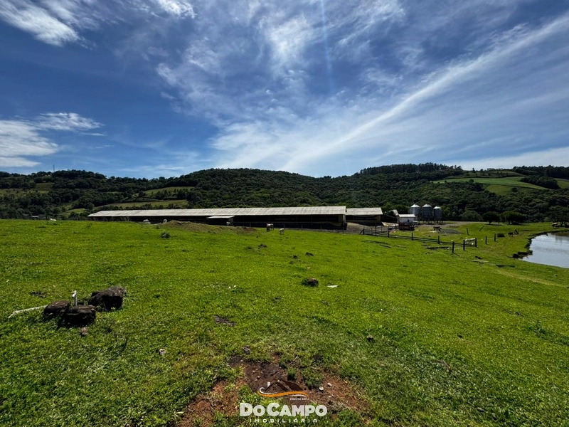 null: 50ª foto da galeria de imagens do imóvel
