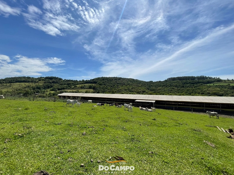 null: 40ª foto da galeria de imagens do imóvel