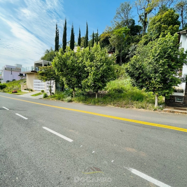 TERRENO BAIRRO NOBRE: 3ª foto da galeria de imagens do imóvel