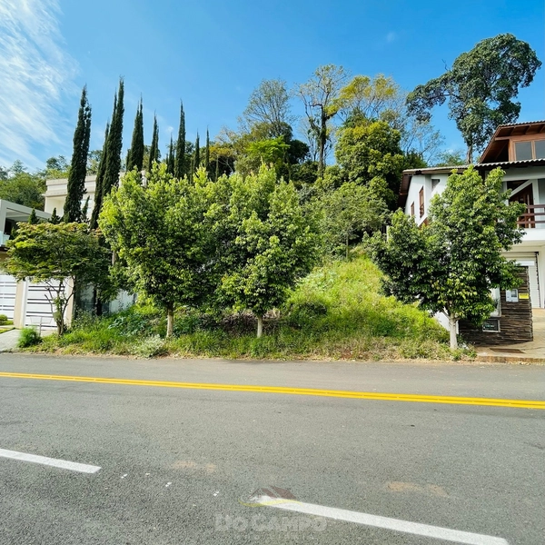 TERRENO BAIRRO NOBRE: 6ª foto da galeria de imagens do imóvel