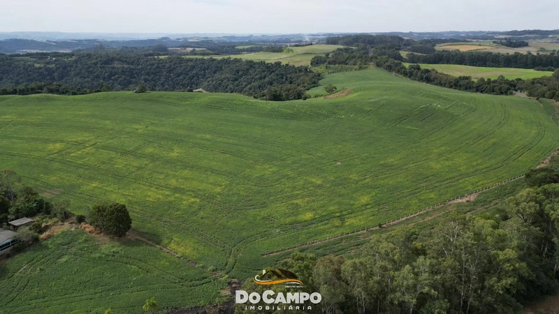 null: 26ª foto da galeria de imagens do imóvel