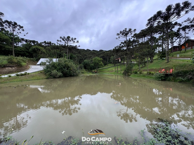 null: 16ª foto da galeria de imagens do imóvel