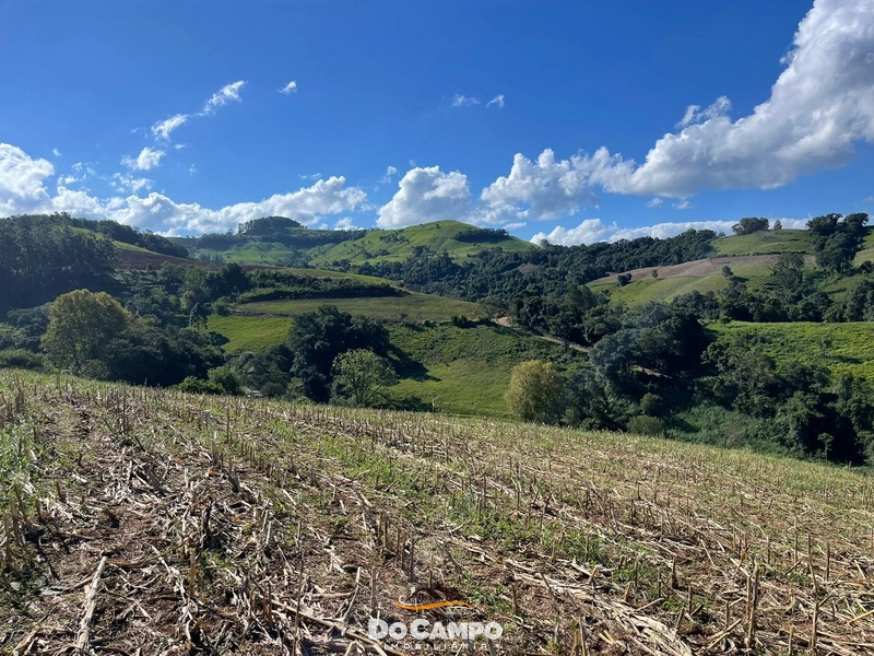 CHÁCARA SÍTIO: 19ª foto da galeria de imagens do imóvel