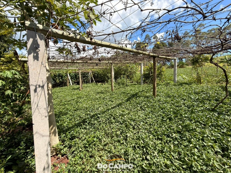 null: 29ª foto da galeria de imagens do imóvel