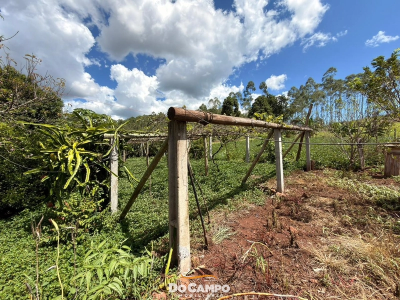 null: 28ª foto da galeria de imagens do imóvel