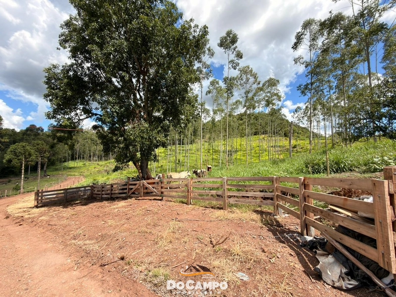 null: 17ª foto da galeria de imagens do imóvel