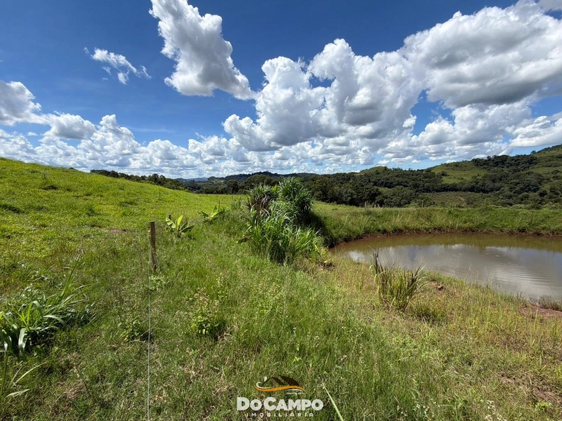 null: 36ª foto da galeria de imagens do imóvel