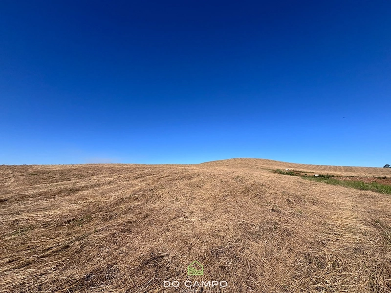 null: 1ª foto da galeria de imagens do imóvel