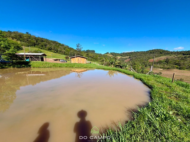 null: 11ª foto da galeria de imagens do imóvel