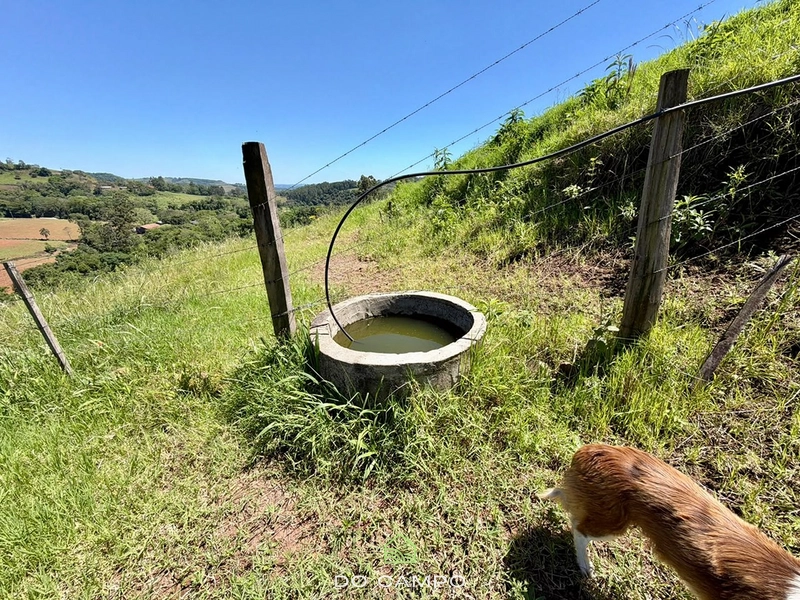 null: 15ª foto da galeria de imagens do imóvel