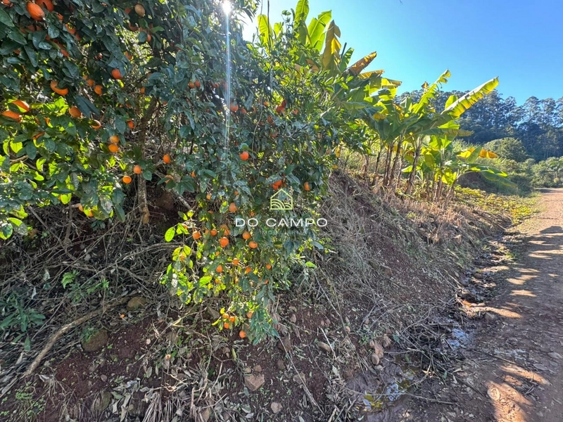 null: 25ª foto da galeria de imagens do imóvel