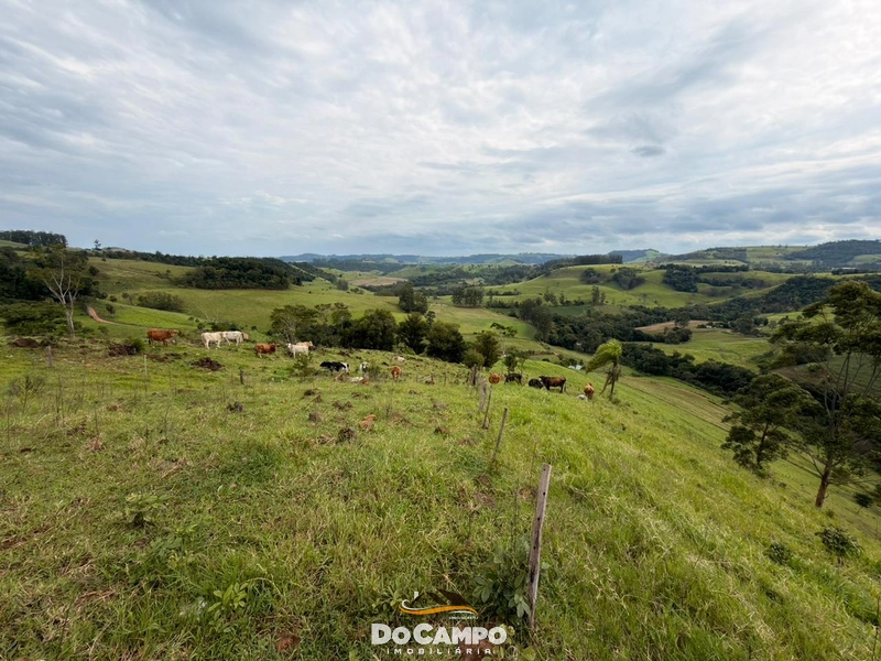 null: 26ª foto da galeria de imagens do imóvel