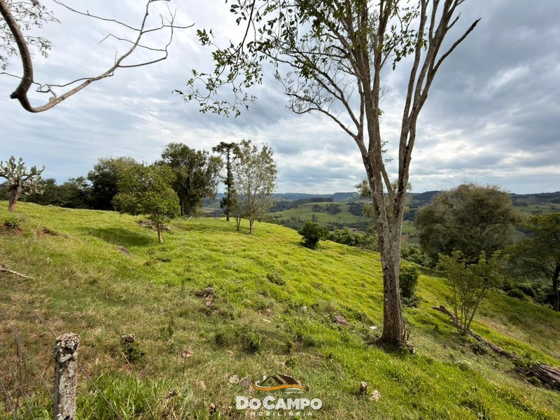 null: 12ª foto da galeria de imagens do imóvel