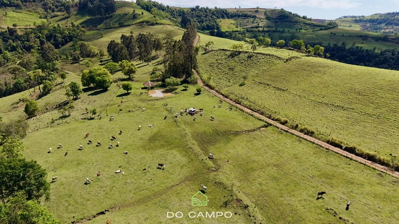 null: 39ª foto da galeria de imagens do imóvel