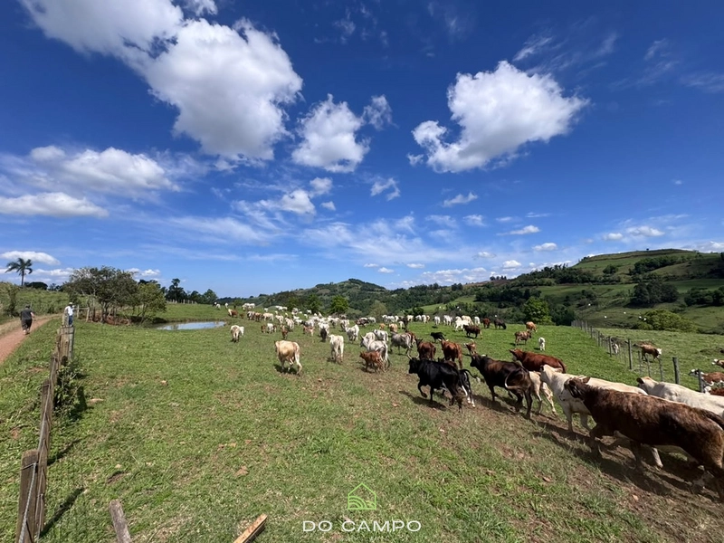 null: 41ª foto da galeria de imagens do imóvel
