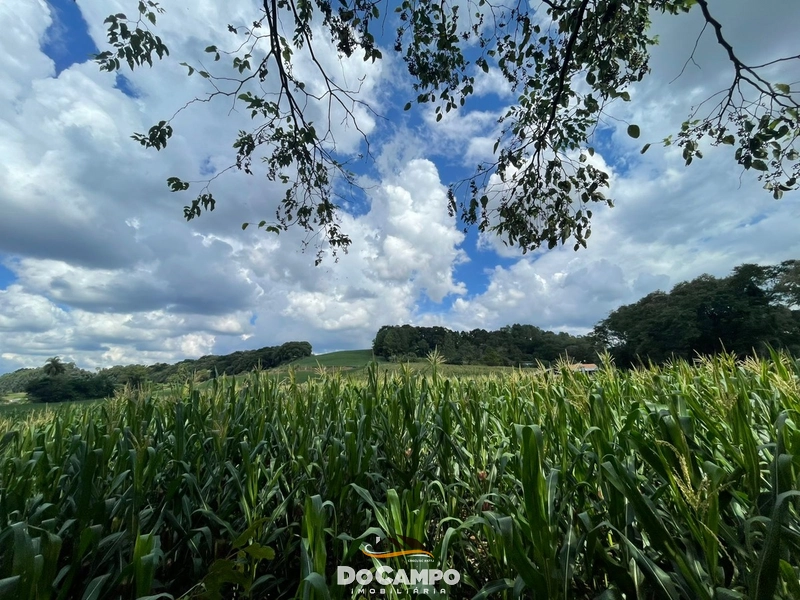 null: 3ª foto da galeria de imagens do imóvel