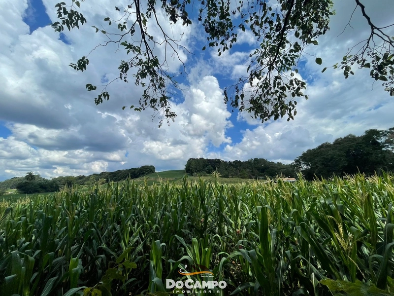 null: 4ª foto da galeria de imagens do imóvel