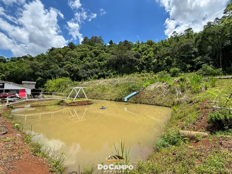 null: 33ª foto da galeria de imagens do imóvel
