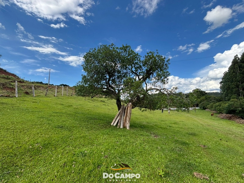 null: 48ª foto da galeria de imagens do imóvel