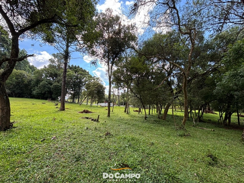 null: 36ª foto da galeria de imagens do imóvel