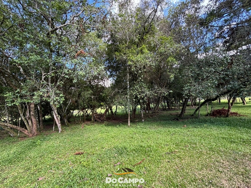 null: 40ª foto da galeria de imagens do imóvel