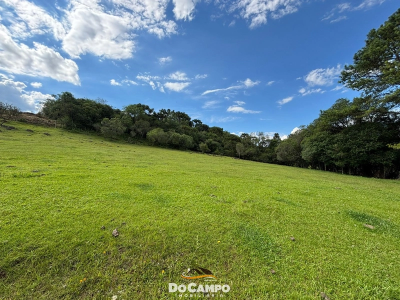 null: 49ª foto da galeria de imagens do imóvel