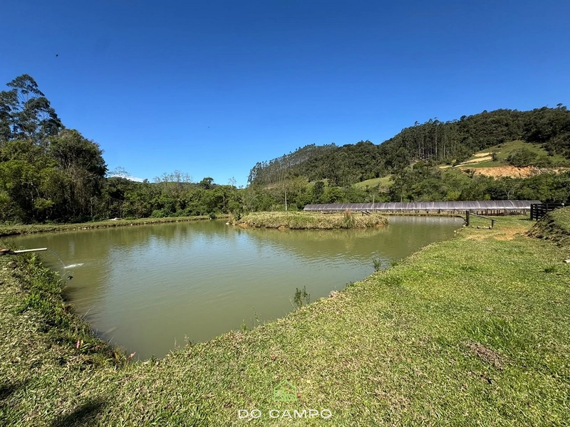 null: 19ª foto da galeria de imagens do imóvel