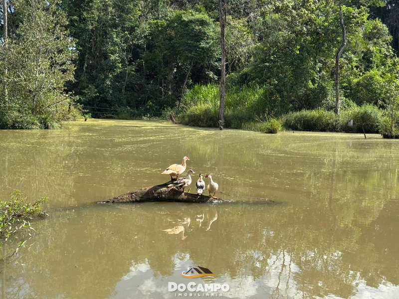 null: 25ª foto da galeria de imagens do imóvel