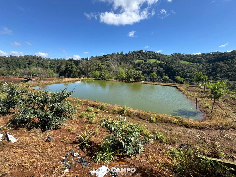 null: 26ª foto da galeria de imagens do imóvel