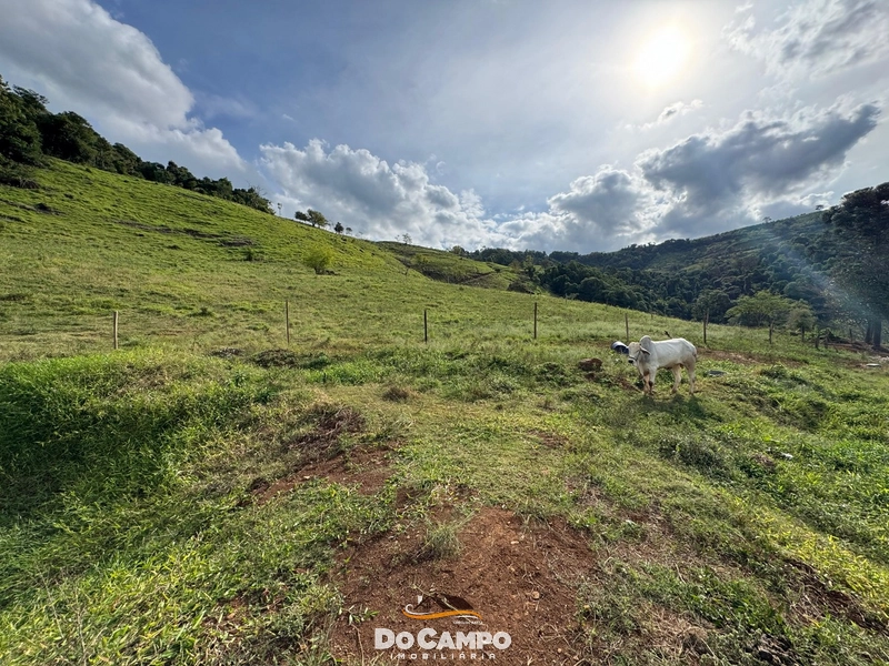 null: 20ª foto da galeria de imagens do imóvel