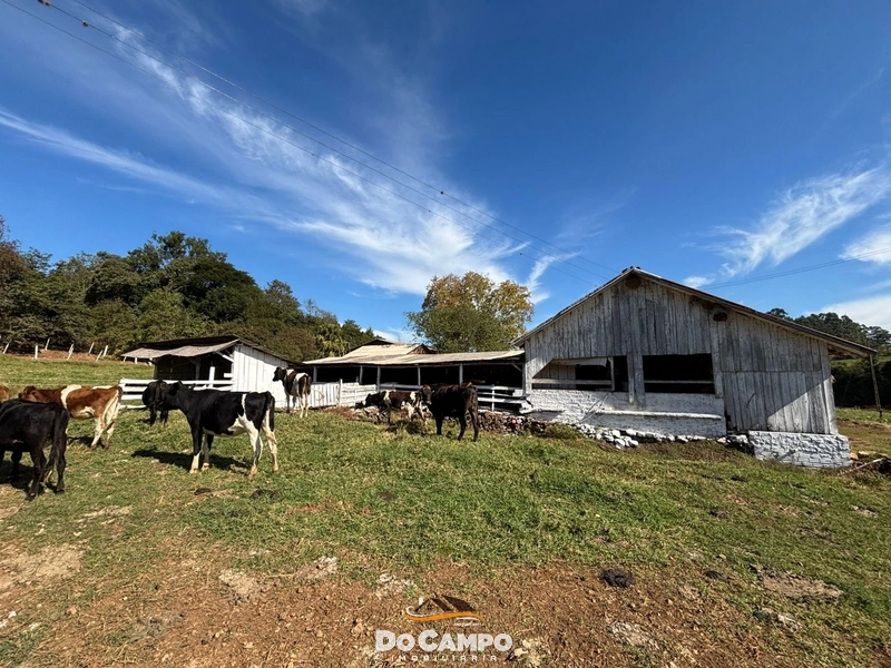null: 13ª foto da galeria de imagens do imóvel