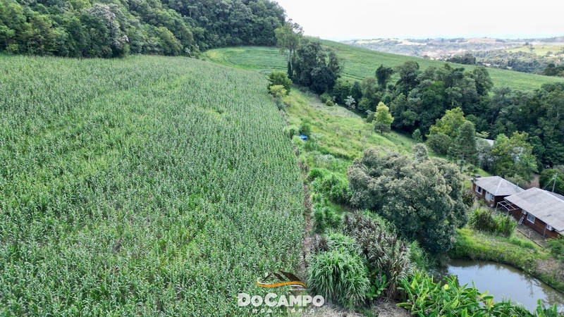 null: 19ª foto da galeria de imagens do imóvel
