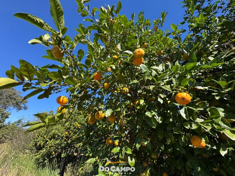null: 15ª foto da galeria de imagens do imóvel