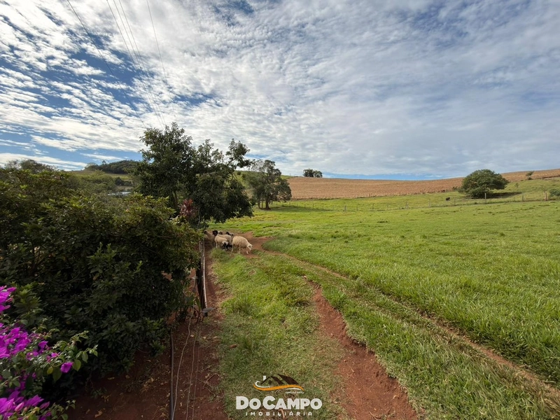 null: 16ª foto da galeria de imagens do imóvel