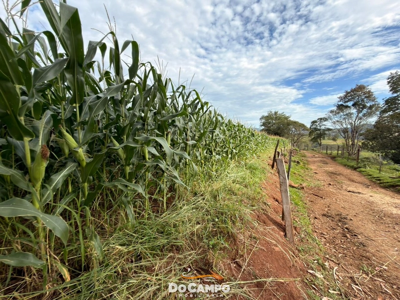 null: 19ª foto da galeria de imagens do imóvel